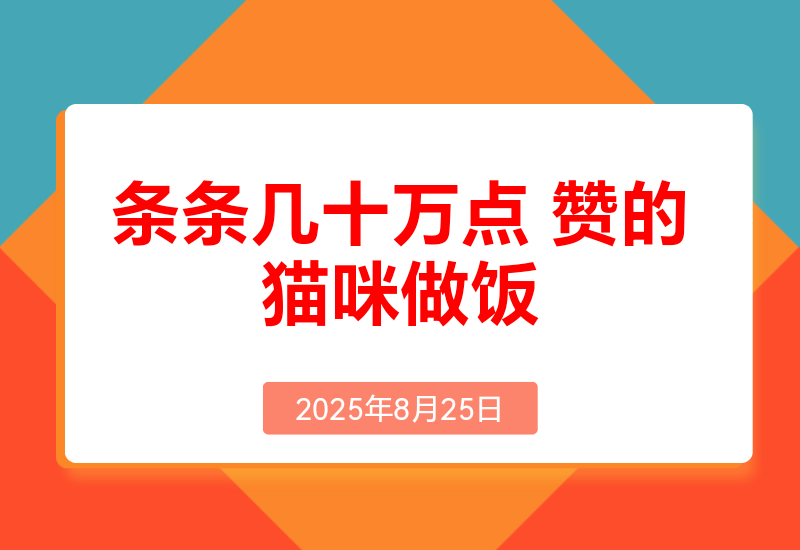 条条几十万点赞的猫咪做饭，即梦3.0两步就可以搞定。